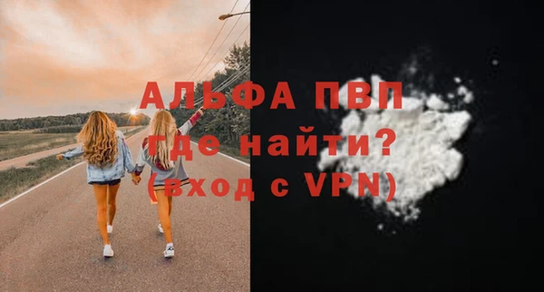 амф Каменногорск