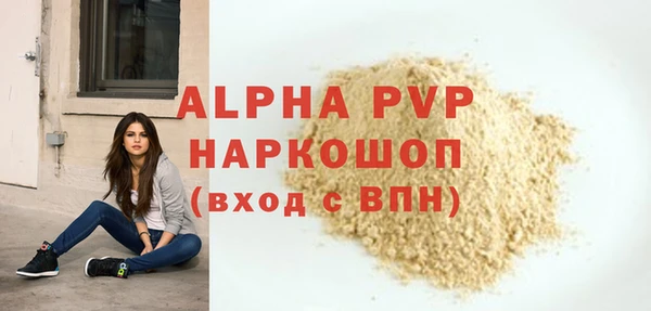 амф Каменногорск