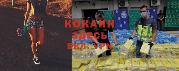 прущая мука Каменка