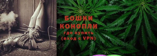 прущая мука Каменка