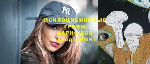 амф Каменногорск