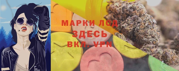 амф Каменногорск