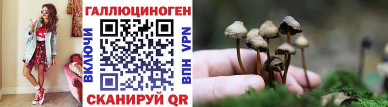 Галлюциногенные грибы прущие грибы  Купить закладки  Старый Крым 